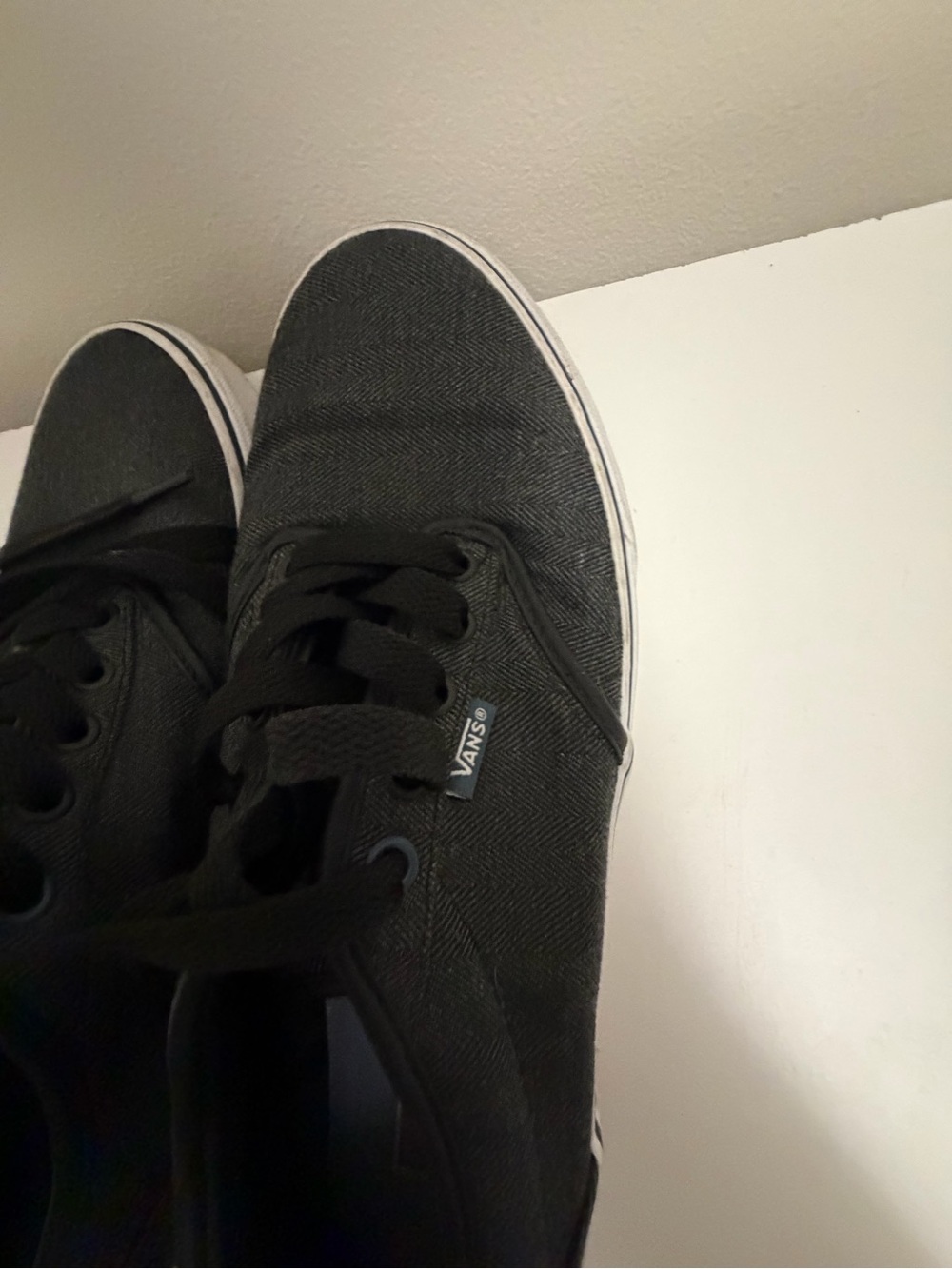 Vans Black Low-Top Canvas Sneakers